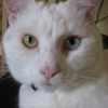 Photo de Tek