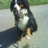 Photo de Diego