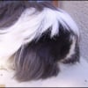 Photo de Ebene