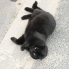 Photo de Prunelle