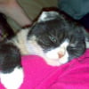 Photo de Lola
