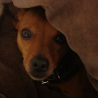 Photo de profil de Willy