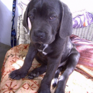 Photo de profil de Otis blue