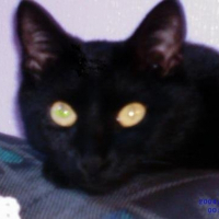 Photo de profil de Xena