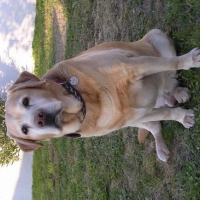 Photo de profil de Oméga