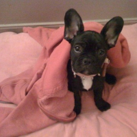 Photo de profil de Doobie