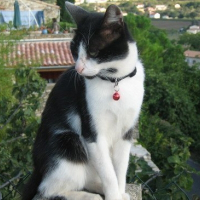 Photo de profil de Rocky