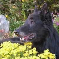 Photo de profil de Jack