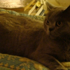Photo de Vogue