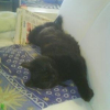 Photo de Titoune