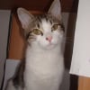 Photo de Mimi