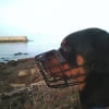 Photo de Bony