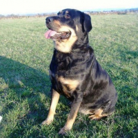 Photo de profil de Calypso