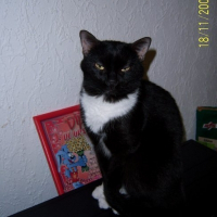 Photo de profil de Caline