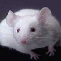 Photo de profil de Sms
