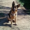 Photo de Vadrouille