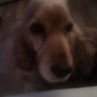 Photo de profil de Tess