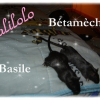 Photo de Basile et bétameche