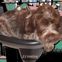 Photo de profil de Bruce
