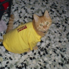 Photo de Mon bebe
