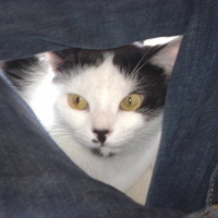 Photo de profil de Mandy