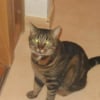 Photo de Milka
