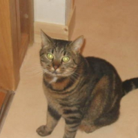 Photo de profil de Milka
