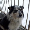 Photo de Maxou