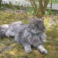 Photo de profil de Léo