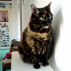 Photo de Pepsi