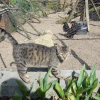 Photo de Titou