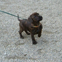 Photo de profil de Prisca