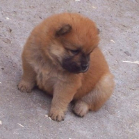 Photo de profil de Calia