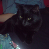 Photo de Titoon