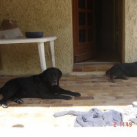 Photo de profil de Rex