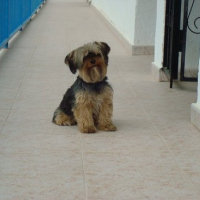 Photo de profil de Unica