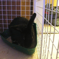 Photo de profil de Querbon