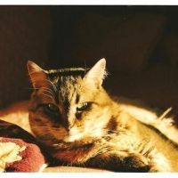 Photo de profil de Géraldine