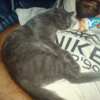 Photo de profil de Canelle