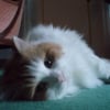 Photo de Lilou