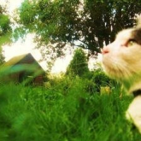Photo de profil de Chicco