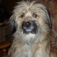 Photo de profil de Voyou