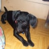 Photo de Bobby