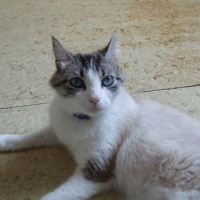 Photo de profil de Kadense