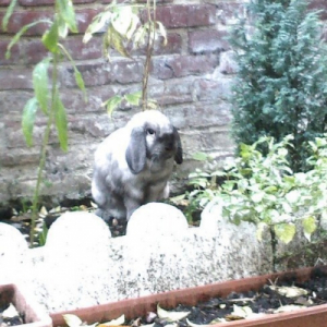 Photo de profil de Lucky