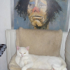 Photo de Noa