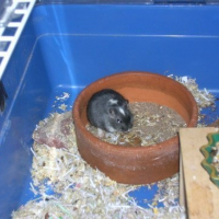 Photo de profil de Canéloni