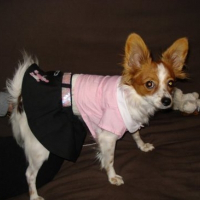 Photo de profil de Daisy