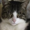 Photo de Titou