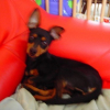 Photo de Armani